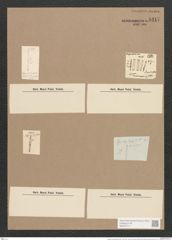 Synedra amphycephala Kuetz., (de-Toni-Nr.: Genus 66, Species 2605) Zeichnungen Sammlung Grunow Nr. 5317 (NHMW-BOT-W0373717)